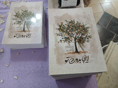    با محور زندگی شهید بلباسی؛  رونمایی از کتاب «اینجا بدون تو» در قائم‌شهر